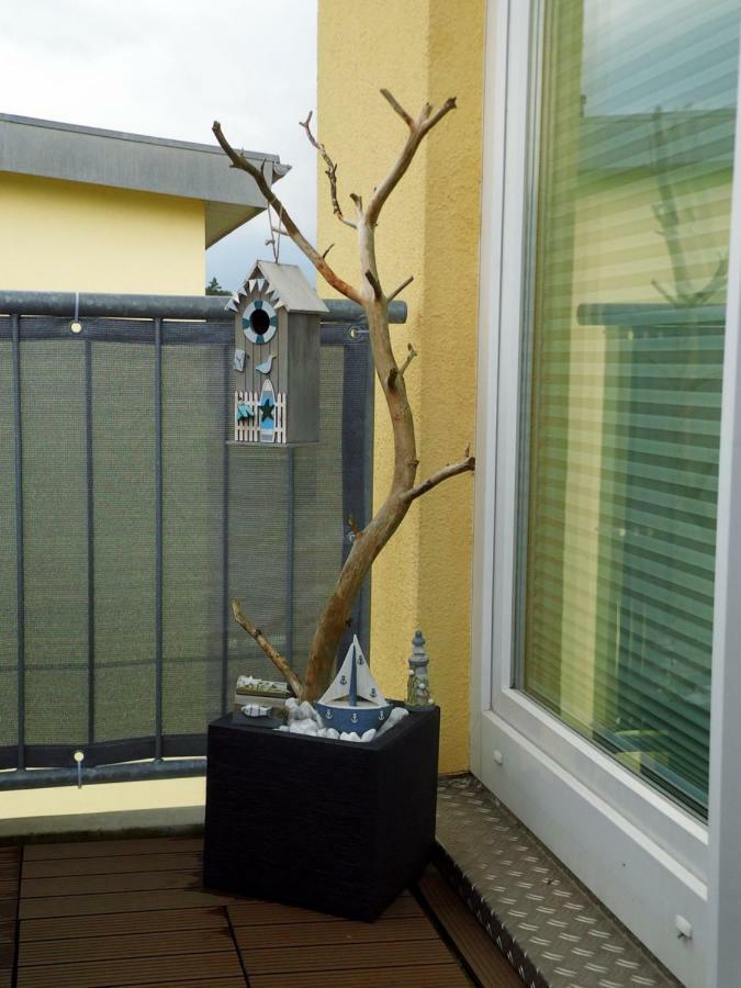 Zur Fledermaus Apartment Graal-Muritz Bagian luar foto